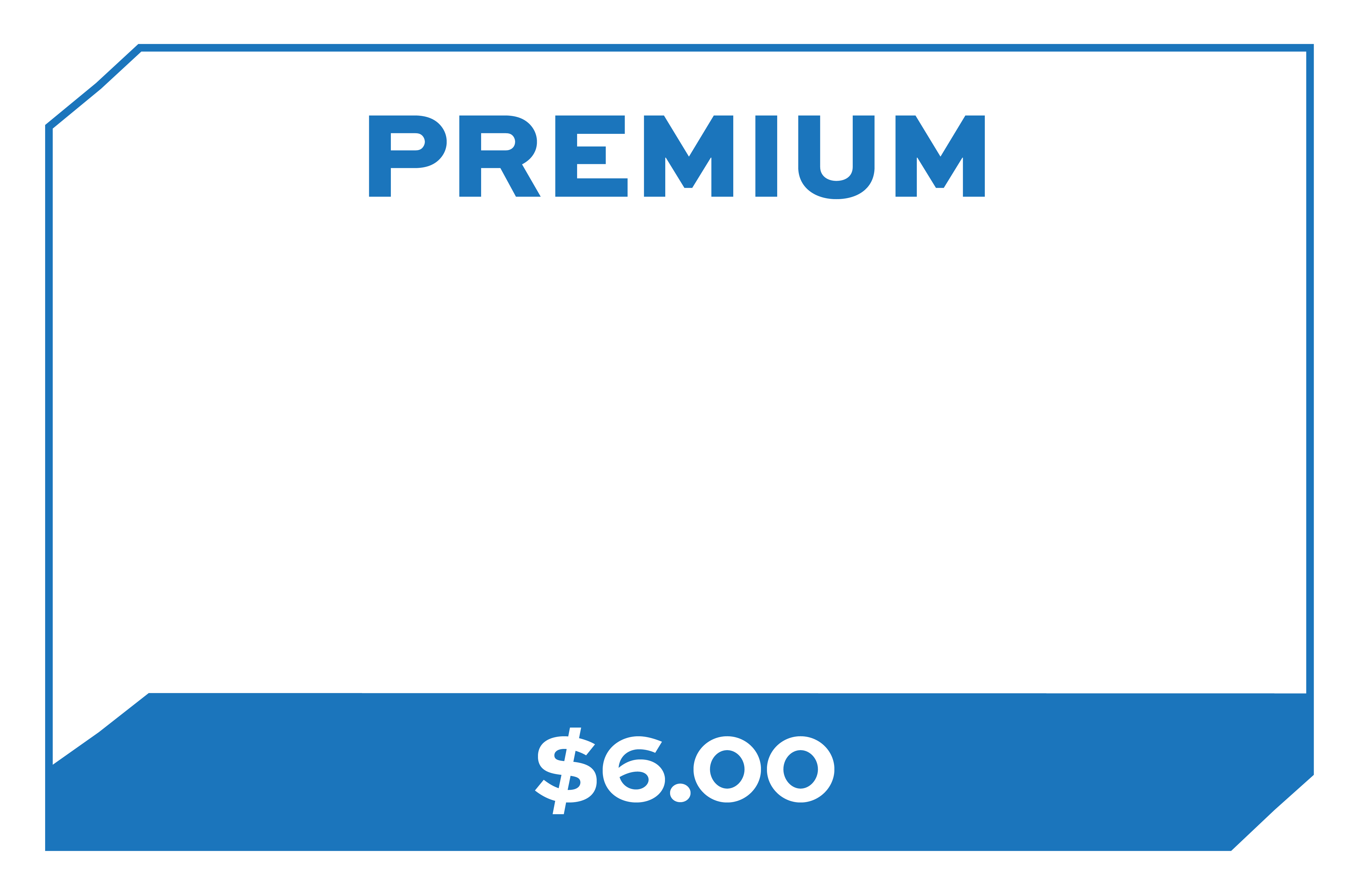 Premium Detailing Package